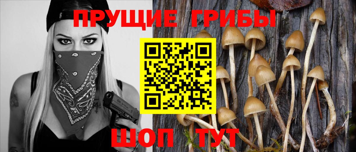 Лабытнанги  Псилоцибиновые грибы MAGIC MUSHROOMS  Псилоцибиновые грибы Magic Shrooms  Вход с VPN 
